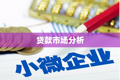 长丰贷款市场分析