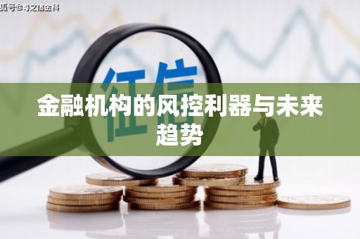长丰金融机构的风控利器与未来趋势