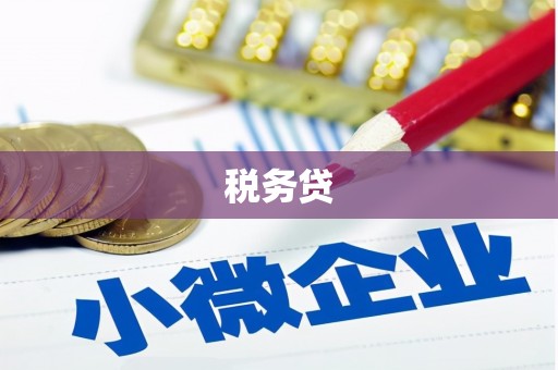 长丰税务贷