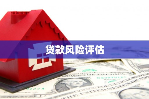 长丰贷款风险评估
