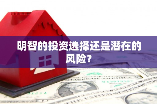 长丰明智的投资选择还是潜在的风险？