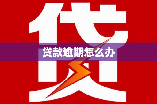 长丰贷款逾期怎么办