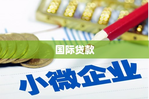 长丰国际贷款
