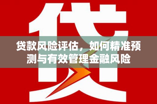 长丰贷款风险评估，如何精准预测与有效管理金融风险
