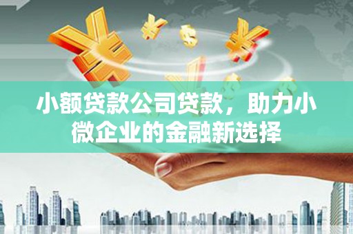 长丰小额贷款公司贷款，助力小微企业的金融新选择