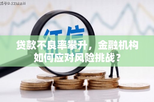 长丰贷款不良率攀升，金融机构如何应对风险挑战？