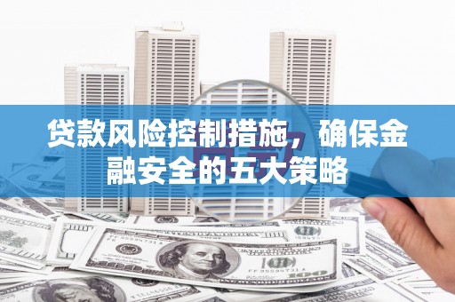 长丰贷款风险控制措施，确保金融安全的五大策略
