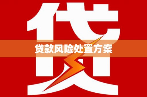 长丰贷款风险处置方案