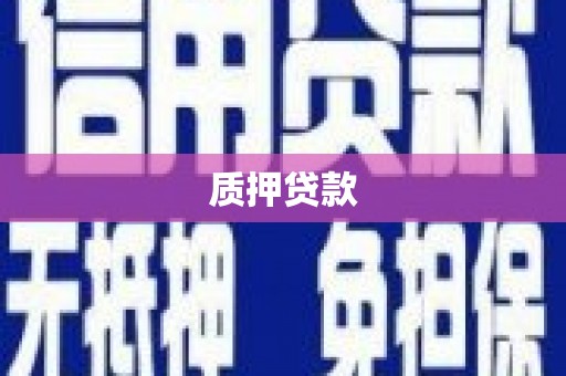长丰质押贷款