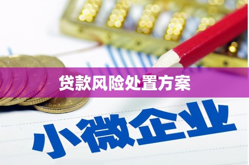 长丰贷款风险处置方案