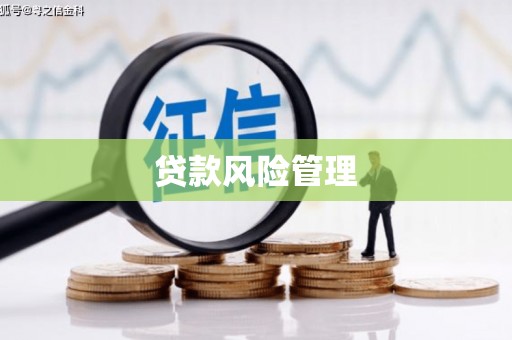 长丰贷款风险管理