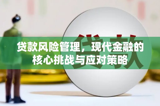 长丰贷款风险管理，现代金融的核心挑战与应对策略