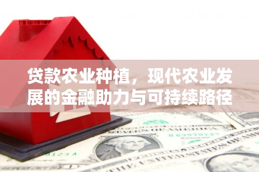 长丰贷款农业种植，现代农业发展的金融助力与可持续路径