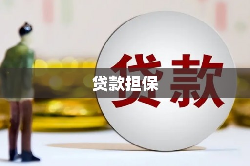 长丰贷款担保