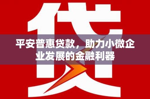 长丰平安普惠贷款，助力小微企业发展的金融利器