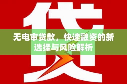 长丰无电审贷款，快速融资的新选择与风险解析