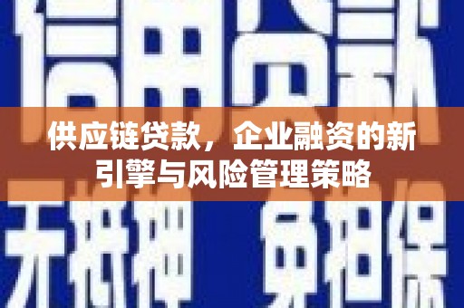 长丰供应链贷款，企业融资的新引擎与风险管理策略