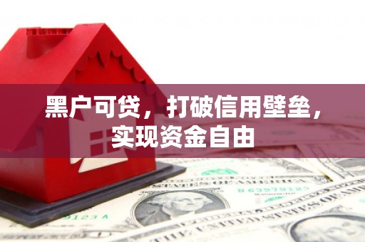 长丰黑户可贷，打破信用壁垒，实现资金自由