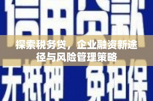 长丰探索税务贷，企业融资新途径与风险管理策略