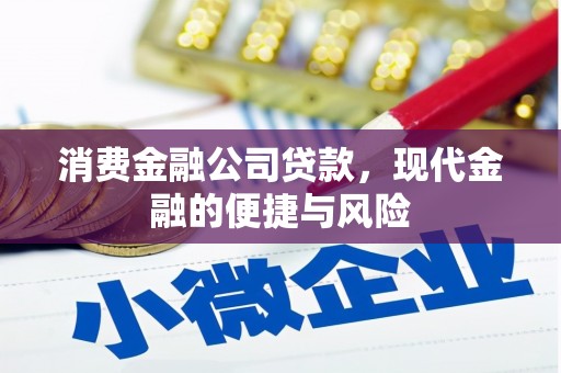 长丰消费金融公司贷款，现代金融的便捷与风险