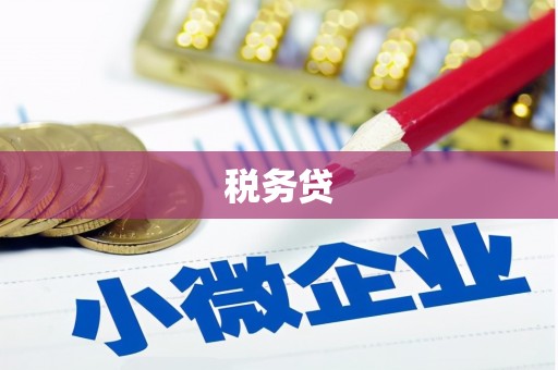 长丰税务贷