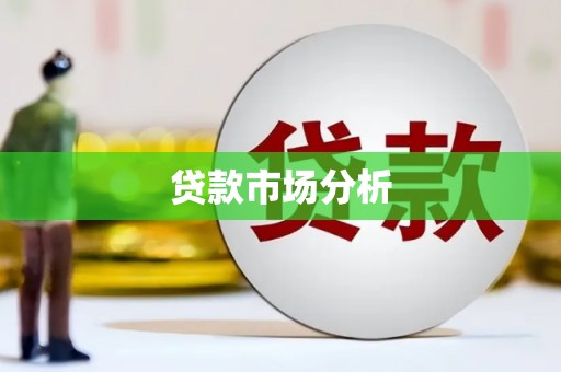 长丰贷款市场分析