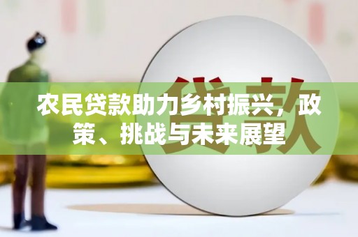 长丰农民贷款助力乡村振兴，政策、挑战与未来展望