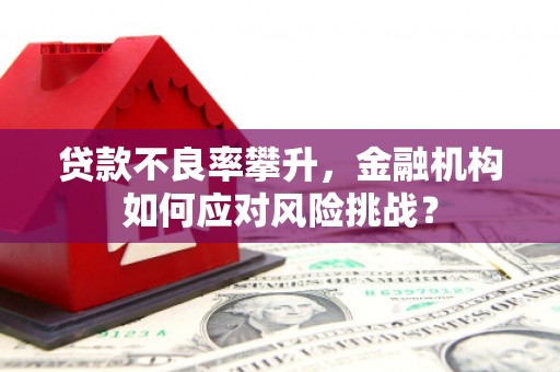长丰贷款不良率攀升，金融机构如何应对风险挑战？