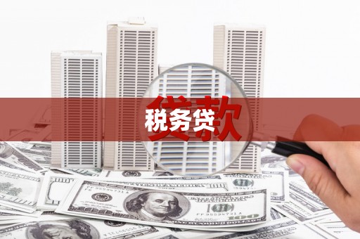 长丰税务贷