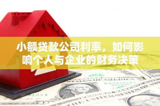 长丰小额贷款公司利率，如何影响个人与企业的财务决策