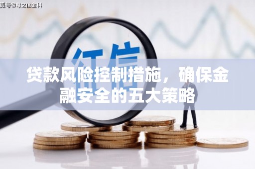 长丰贷款风险控制措施，确保金融安全的五大策略