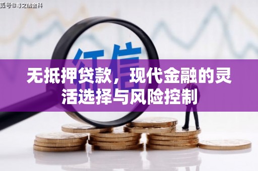 长丰无抵押贷款，现代金融的灵活选择与风险控制