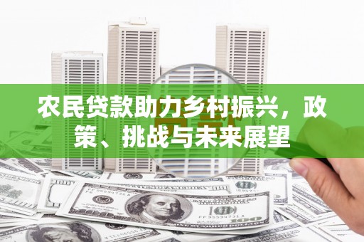 长丰农民贷款助力乡村振兴，政策、挑战与未来展望
