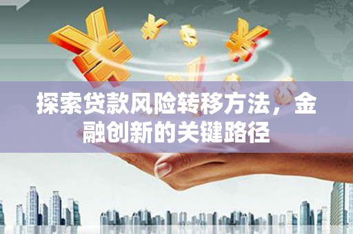 长丰探索贷款风险转移方法，金融创新的关键路径