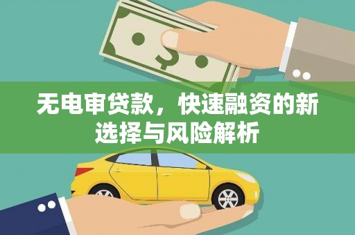 长丰无电审贷款，快速融资的新选择与风险解析