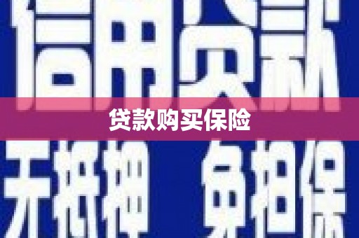 长丰贷款购买保险