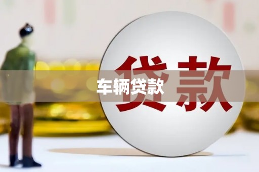 长丰车辆贷款