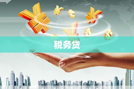 长丰税务贷