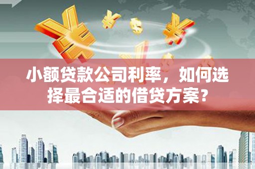 长丰小额贷款公司利率，如何选择最合适的借贷方案？