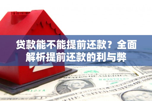 长丰贷款能不能提前还款？全面解析提前还款的利与弊