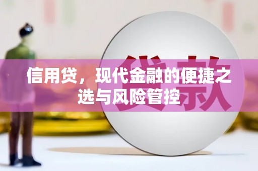 长丰信用贷，现代金融的便捷之选与风险管控