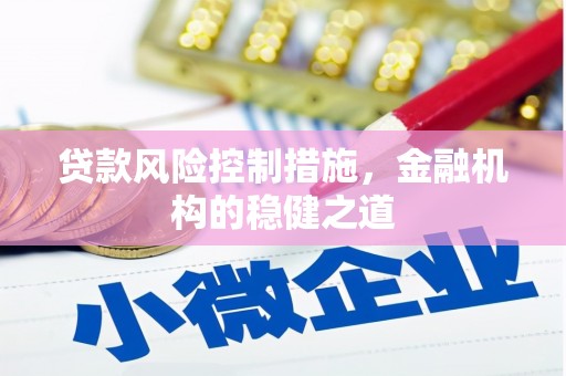 长丰贷款风险控制措施，金融机构的稳健之道
