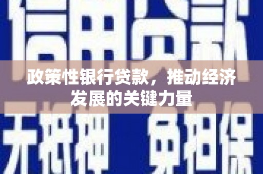 长丰政策性银行贷款，推动经济发展的关键力量