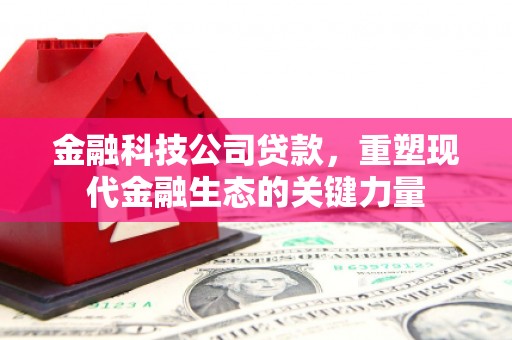 长丰金融科技公司贷款，重塑现代金融生态的关键力量