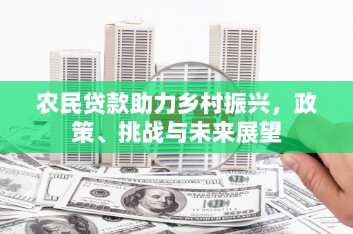 长丰农民贷款助力乡村振兴，政策、挑战与未来展望