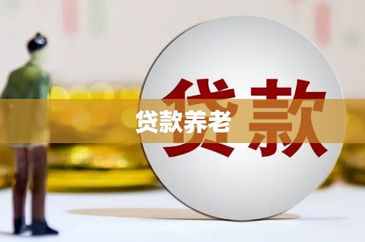 长丰贷款养老