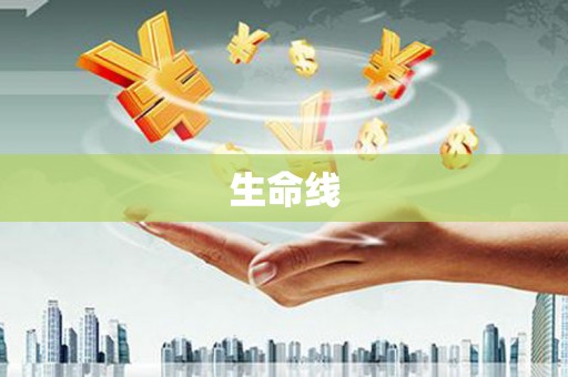 长丰生命线