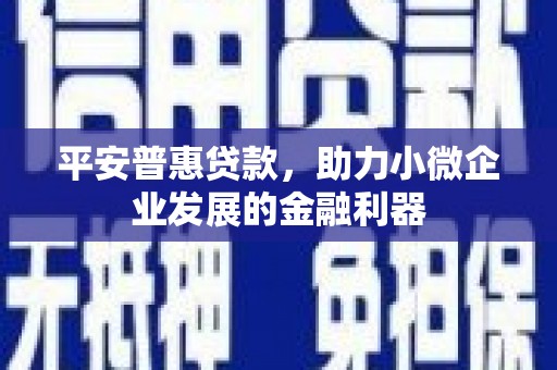 长丰平安普惠贷款，助力小微企业发展的金融利器