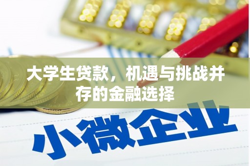 长丰大学生贷款，机遇与挑战并存的金融选择