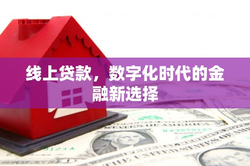 长丰线上贷款，数字化时代的金融新选择